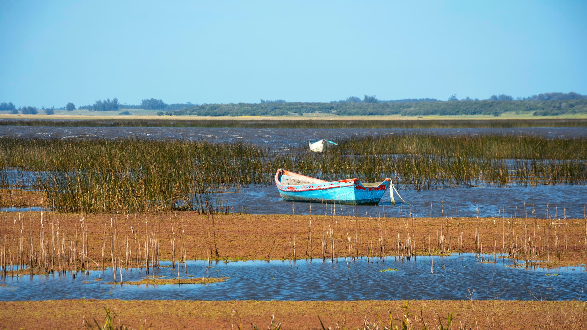 Rocha y lagunas del noreste